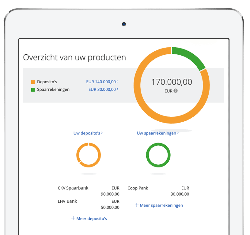 Raisin online omgeving na registratie en aanvragen deposito's. 