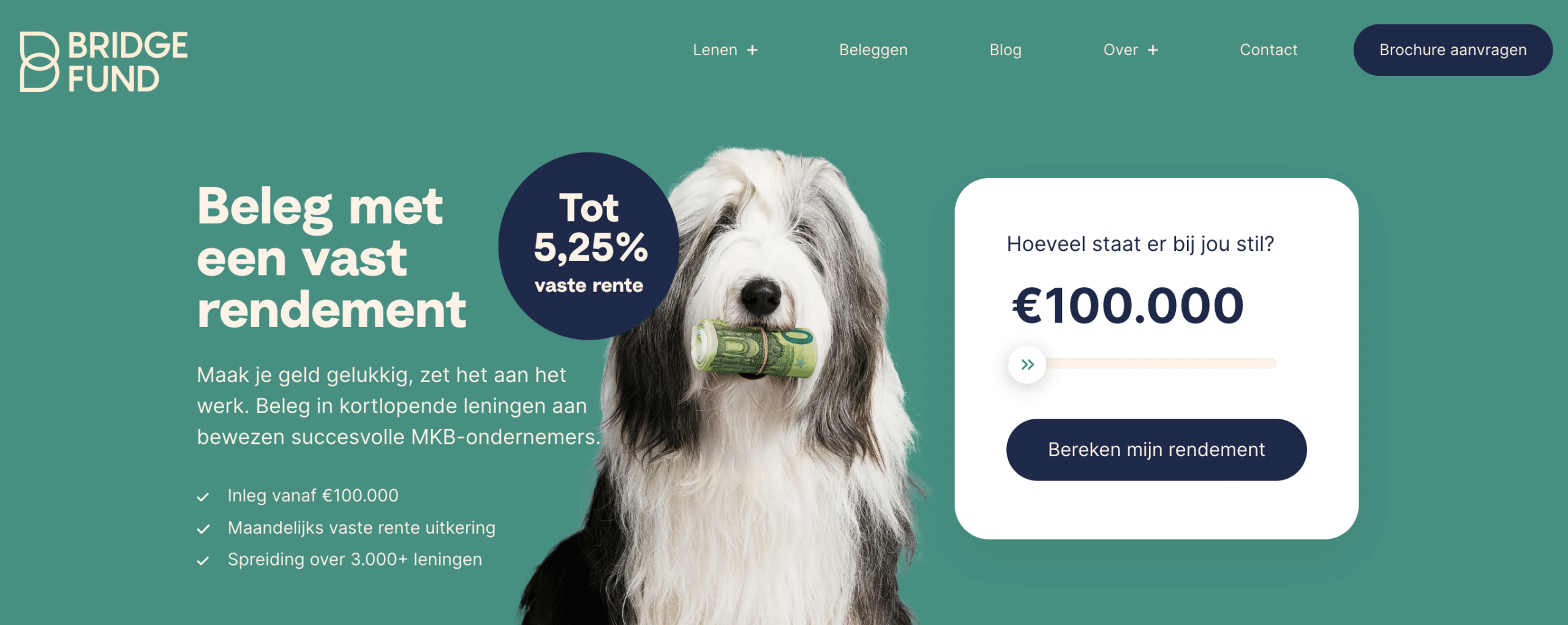 bridgefund beleggen review