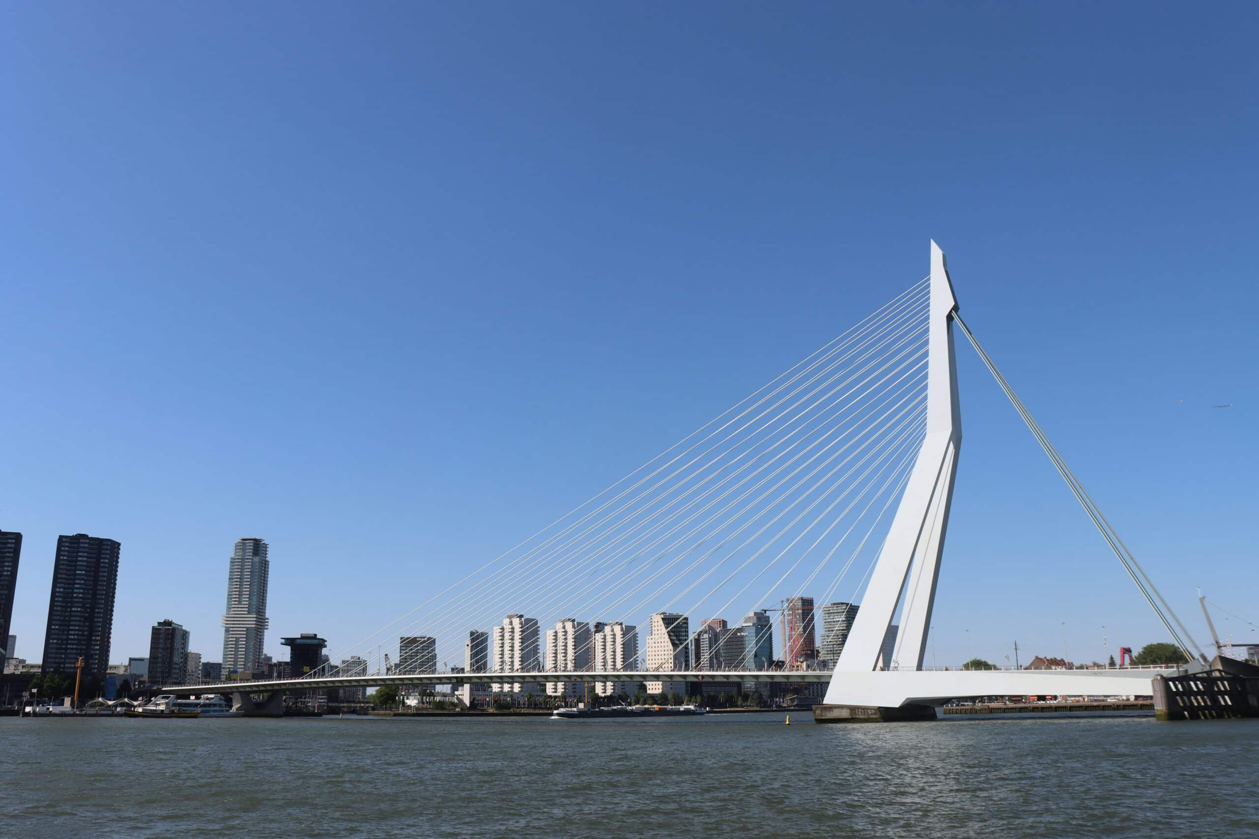 dhb bank actie rente