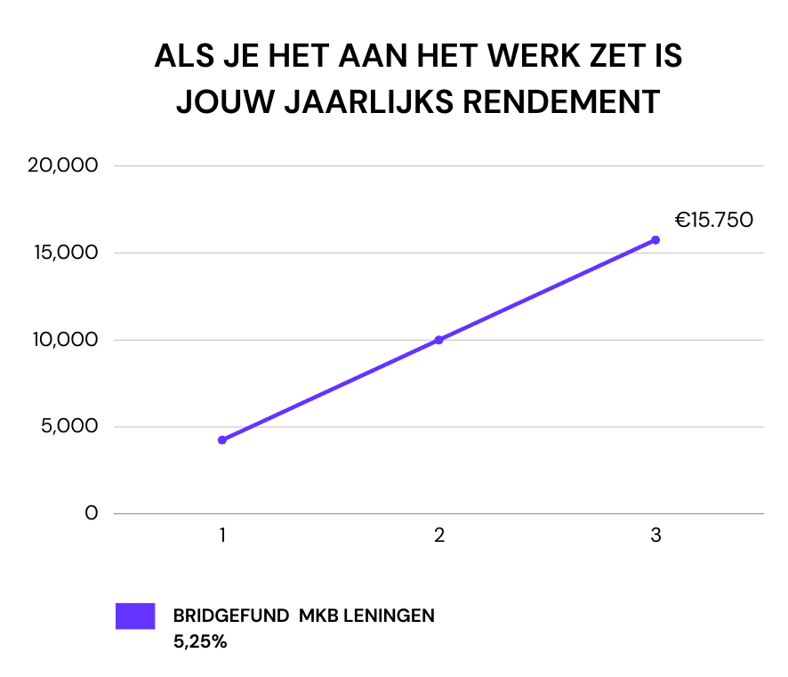 geld aan het werk zetten wat doen met spaargeld beleggen in MKB leningen Bridgefund_wat-doen-met-een-ton